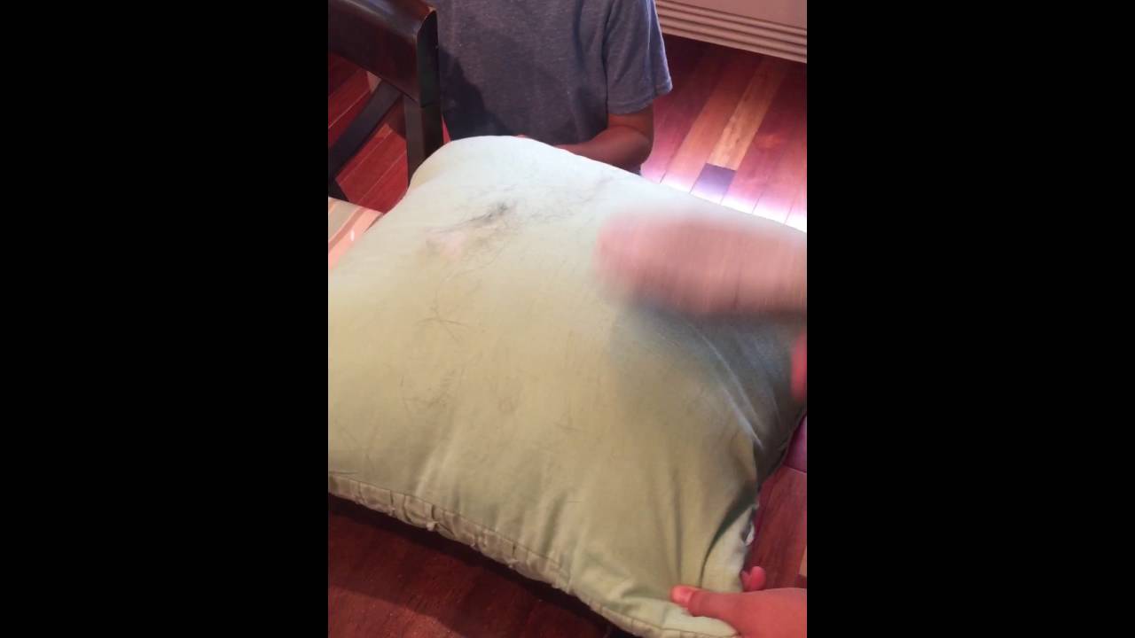 Norwex Lint Mitt for dog and hair cat removal YouTube