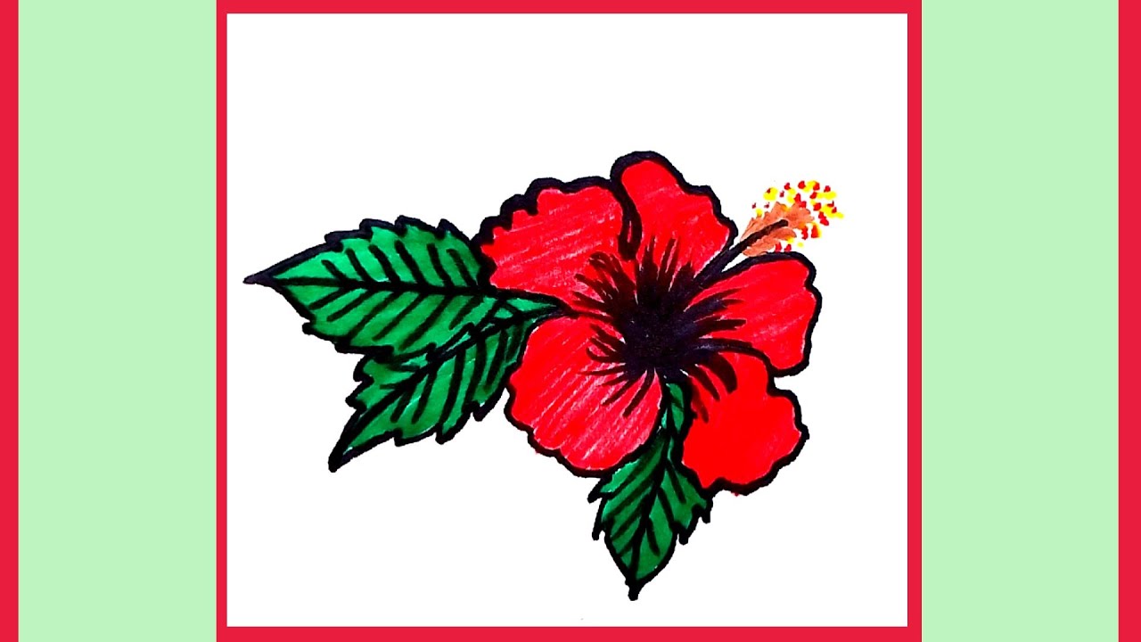 Draw a hibiscus flower how to draw a hibiscus flower Ummehani Art Gallery YouTube