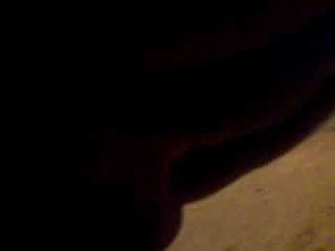 ربيع البركه دور نصر ابو وجدان