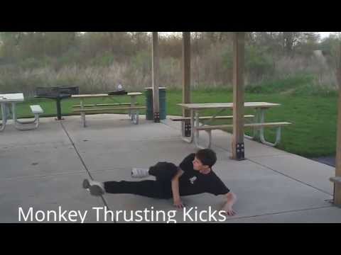 Northern Shaolin Kicks and Sweeps 2013