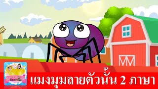 เพลง แมงมุมลาย 2 ภาษา | แมงมุมลายตัวนั้น | Itsy Bitsy Spider | สื่อการเรียนสำหรับเด็กอนุบาล