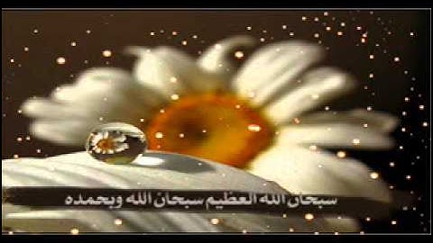 سورة الأعراف بصوت الشيخ أدريس أبكر .wmv