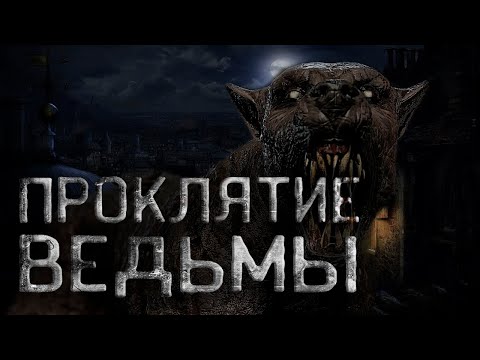 Видео: Pet Scoop: Парализованные собаки снова гуляют, шимпанзе сталкиваются с кризисами среднего возраста