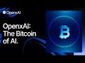 What is OpenxAI? Launch Your Own AI in 5 Minutes