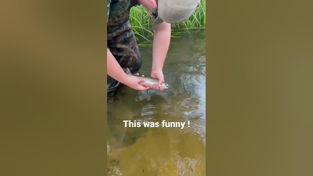 Can you feel the pain ? Trout fishing mishap ! YouTube