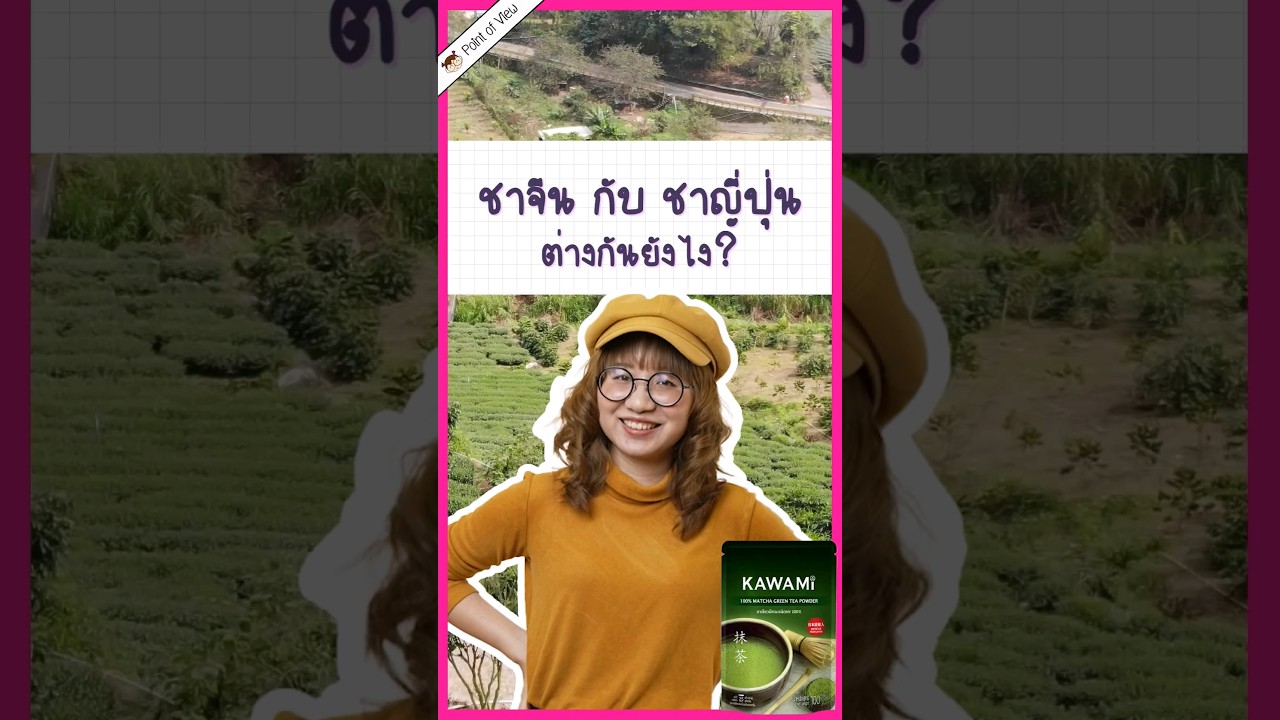 ชาจีนกับชาญี่ปุ่นต่างกันยังไง? #Kawami #pointofview #สนุกและได้สาระ