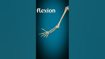 flexion and extension of elbow joint#physiorehab#drsamia