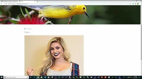 Create Content & Template in Umbraco v8