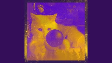 Pulsating Music for Comfortable with Cats