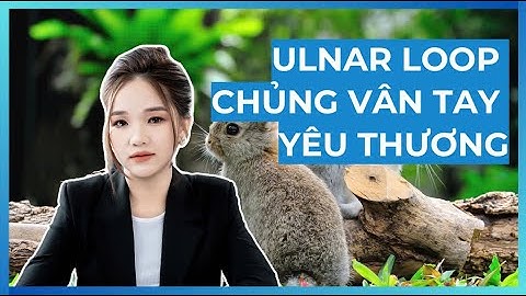 Tự học Sinh trắc vân tay | Chủng Ulnar Loop (UL) - Chủng yêu thương| Coach Thanh Lê
