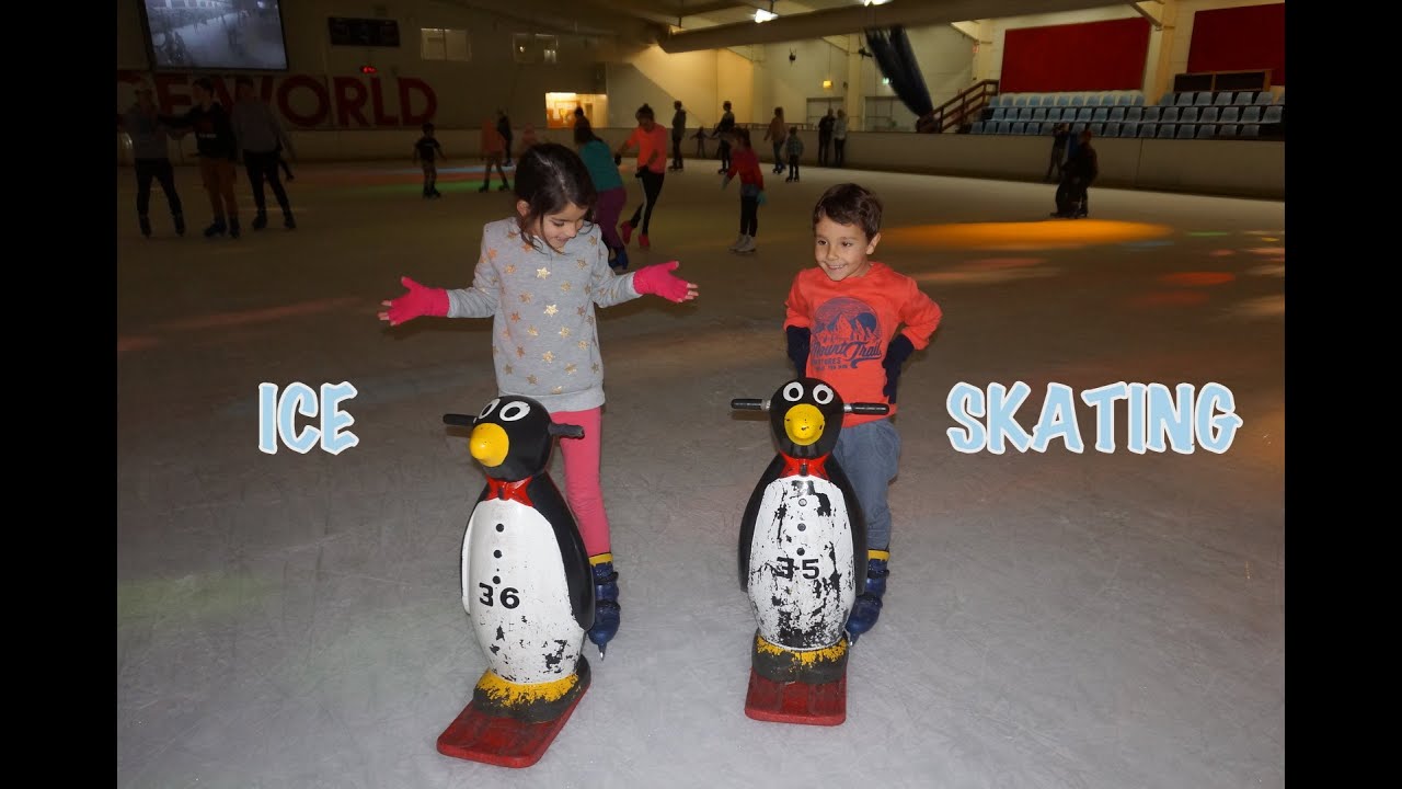 ice-skating-with-penguins-boondall-ice-world-youtube