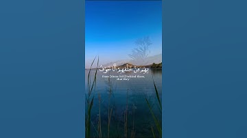 فَرِحينَ بِما آتاهمُ اللَّهُ مِن فَضلِهِ 🤍-القارئ #ماهر_المعيقلي #quran #اكسبلور #تلاوات #راحة_نفسية