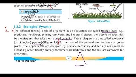 New Book 8th Class General Science | Ecology | Unit 1 Complete exercise | Class 8th General Science