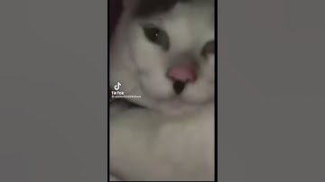Thumbnail of Adolf Kitler (song: Erika)
