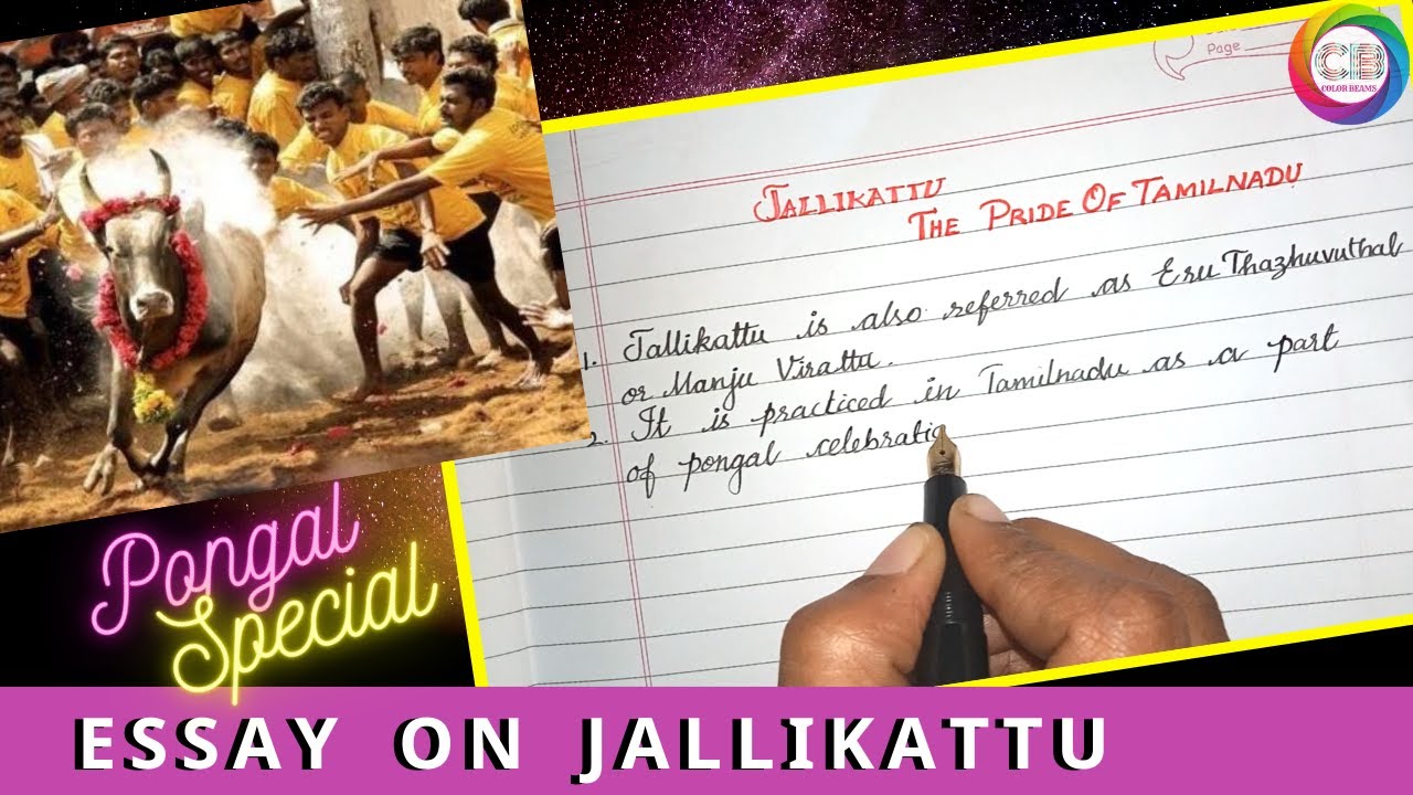 essay about jallikattu in english