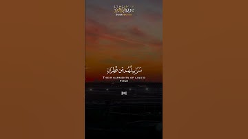 - تلاوة خاشعة للشيخ عبدالنور رحيم الجزائري من سورة إبراهيم ﴿ يوم تبدّل الأرض غير الأرض والسمٰوٰت ﴾🌹