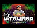 Dj vitaliano x vaimaila atinae  ua tafea pulu i vai remix 2024