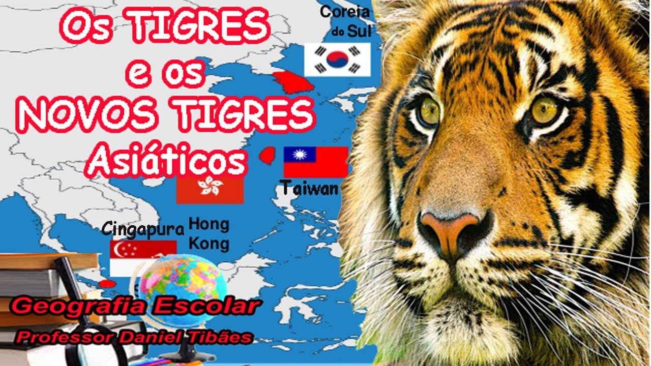 O Que é Tigres Asiaticos - FDPLEARN