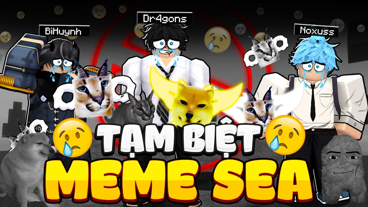 Tạm Biệt Meme Sea..