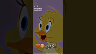 Hello my followers  ايلافيو متابعيني ايلافيو احبكمممممممممممممممم❤?