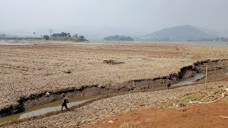 Jatigede Reservoir Dries Up Further Due to Drought