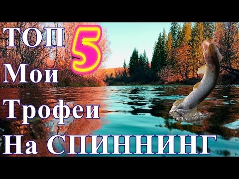 ТОП 5 МОИ ТРОФЕИ НА СПИННИНГ