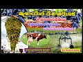 ఇజ్రాయిల్ పంటలు/Israel Agriculture telugu/Jerusalem tour telugu/Bro Benhur babu