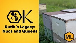 Kutik's Bees: Nucs and Queens