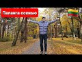 Паланга. Листья жёлтые нам под ноги ложатся. Золотая осень в Литве. Lietuva. Palanga.