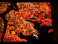 秋(西岡たかし) 多重録音