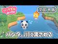 【次回予告】パンダ家族の日常 第199話「パンタ、川に流される」【2026年6月26日(金)18時～プレミア公開】