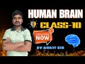 🧠 Human Brain – Class 10 CBSE | NCERT Based Full Explanation | Structure & Function #video #hindi