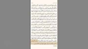 سورة البقرة الاية 169