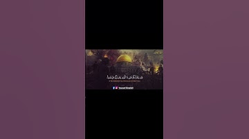 إن ينصركم الله فلا غالب لكم ....          🍁سورة آل عمران🍁.                  القرآن الكريم غذاء الروح