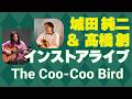 城田純二&高橋創インストアライブ at Dr.Sound 「The Coo Coo Bird」使用機材:Martin 000E Retro Plus / Gold Tone AC-12