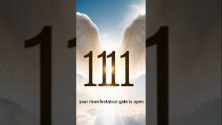 Angel Number 11:11 Message #angle numbers #spirituality  #law of attraction #divine message