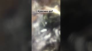 Красава