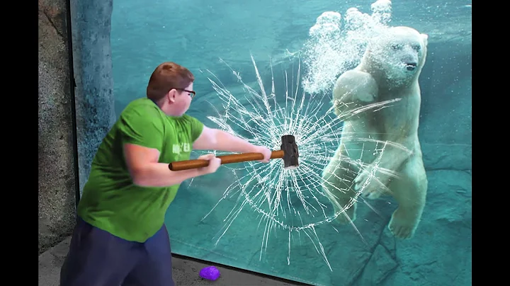 he broke the polar bear's glass... - DayDayNews