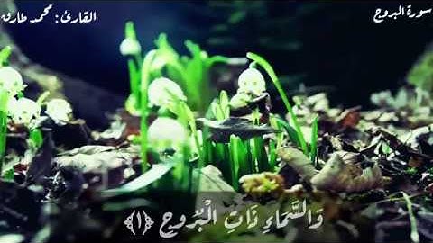Mohamed Tarek - Al-Buruj | محمد طارق - سورة البروج