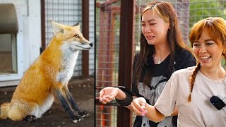 Maya makes Fanfan EMOTIONAL again with the foxes at Alveus