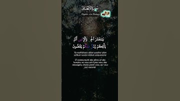 Al'Anam S•6 [Verset 130] | الانعام سوره ٦ آية ١٣٠