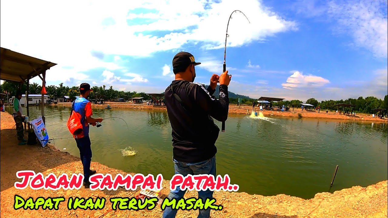 Bawa Duit Rm300 Mancing Kolam Rm3 //Kaci Bakar Dan Kaci Masak Stim. Catch And Cook.