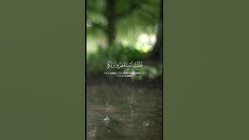 فقلت استغفروا ربكم إنه كان غفارا يرسل السماء عليكم مدرارا ... [سورة نوح: الآيات 10-12]