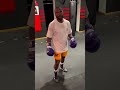 The Fight That Made Mayweather a LEGEND! #boxingdrama #boxing #mma #ufc#floydmayweather#boxingupdate
