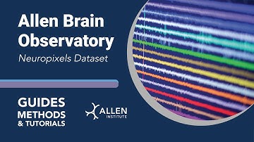 Allen Brain Observatory: Neuropixels Dataset | Tutorial