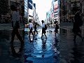 【Pollo2.5】検証：衝撃│物理法則の破壊と再構築