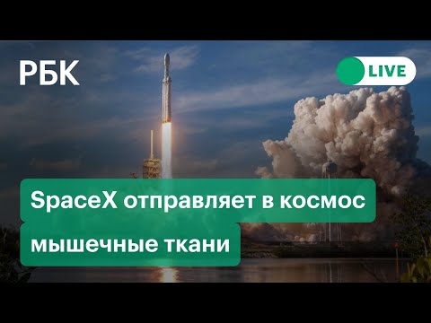 SpaceX запускает на орбиту клетки мышц человека для изучения процессов старения. Прямая трансляция