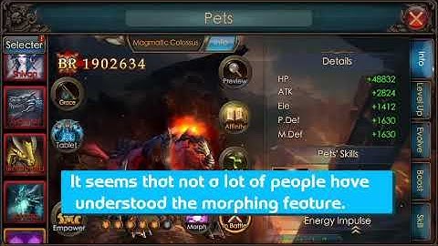 Legacy of Discord - NEW PET MORPH FEATURE EXPLAINED IN LESS THAN A MINUTE!