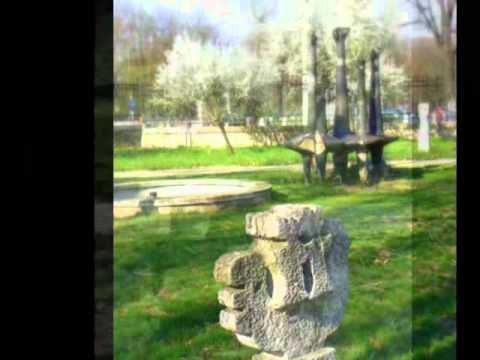 Muzeul de Arta Vizuala Galati.wmv