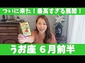 うお座♓️6月前半🔮 最高すぎる展開！！ここで動けば人生が変わる！！✨